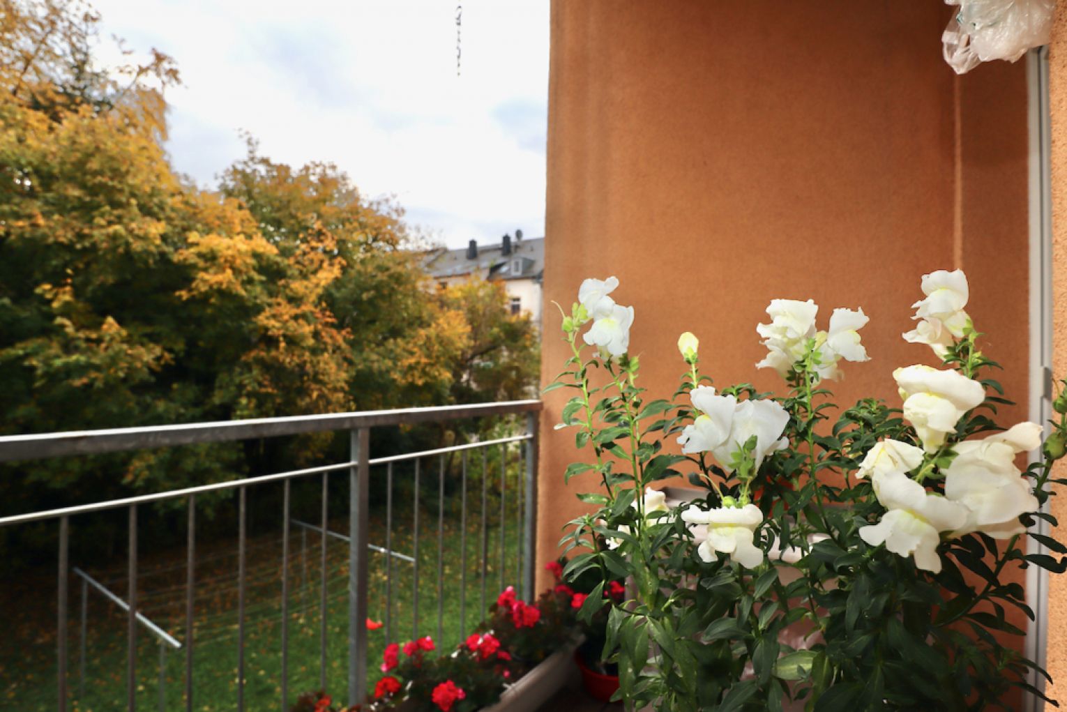 in Chemnitz • Altendorf • vermietete • Eigentumswohnung • 3 Zimmer • mit Balkon • Altersvorsorge