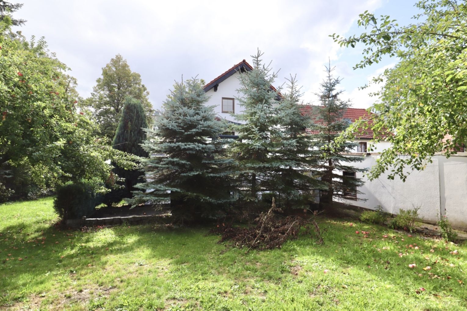 Zweifamilienhaus mit Gewerbe • Oberlungwitz • Garage • Werkstatt  • 4- 7 Räume • Terrasse • Garten