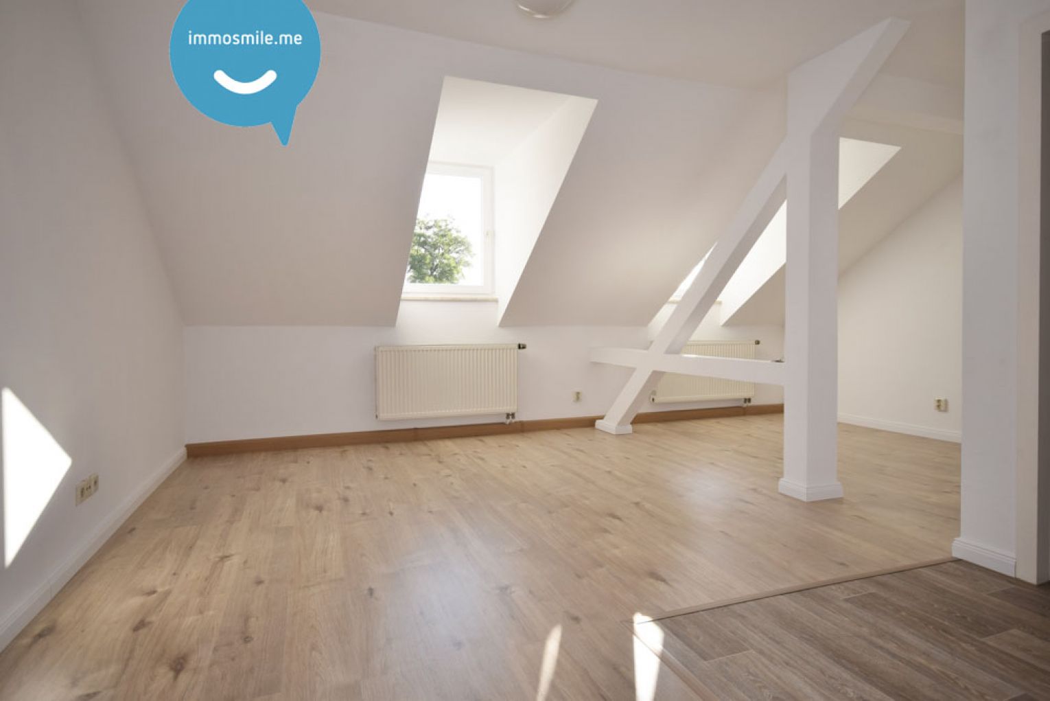 Dachgeschoss • Kaßberg • 1 Raum Apartment • Bad mit Dusche • neues Laminat • zur Miete