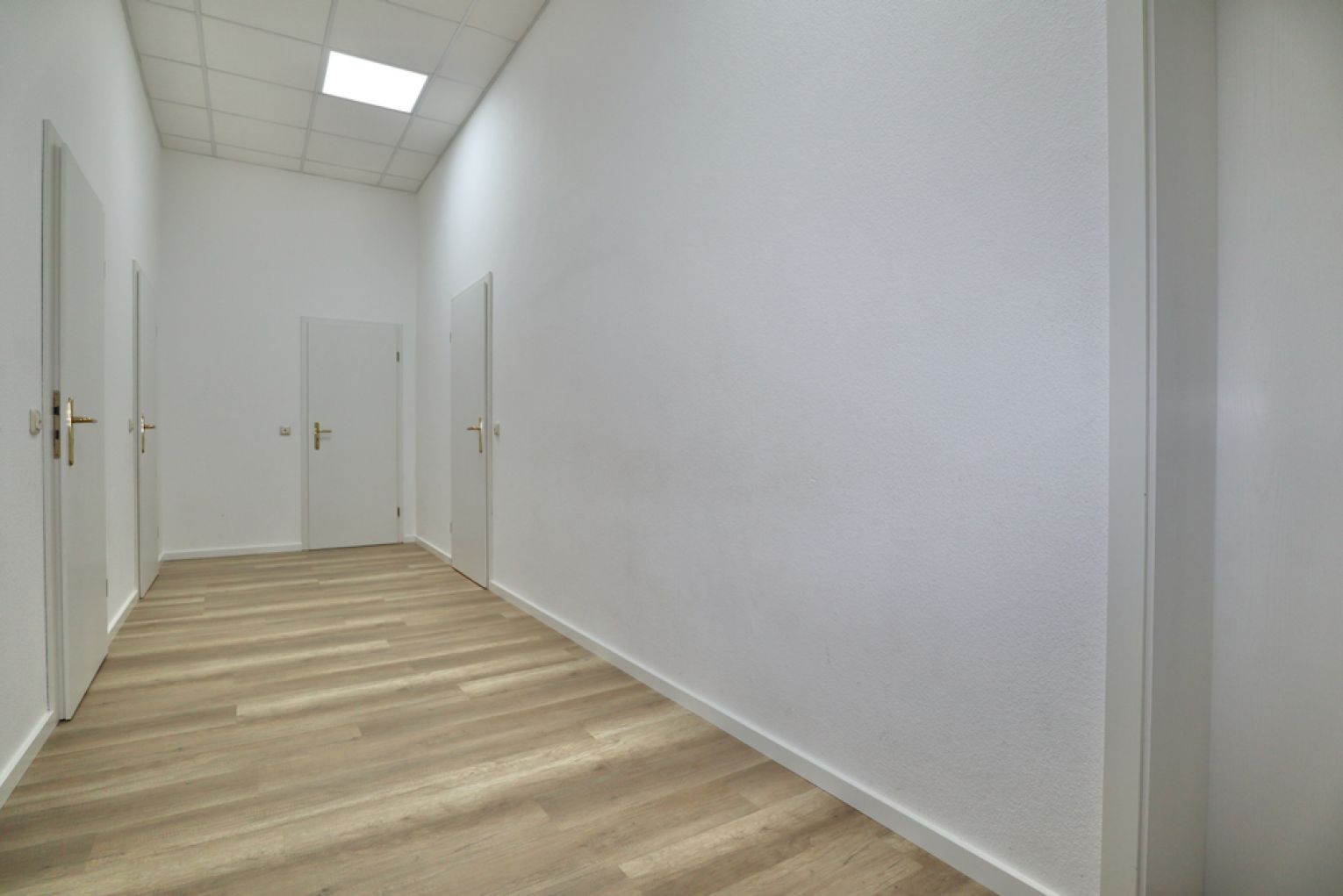 in Chemnitz • Kaßberg • 105 qm • Büro • Gewerbe • Neu und modern • Business • zur Miete