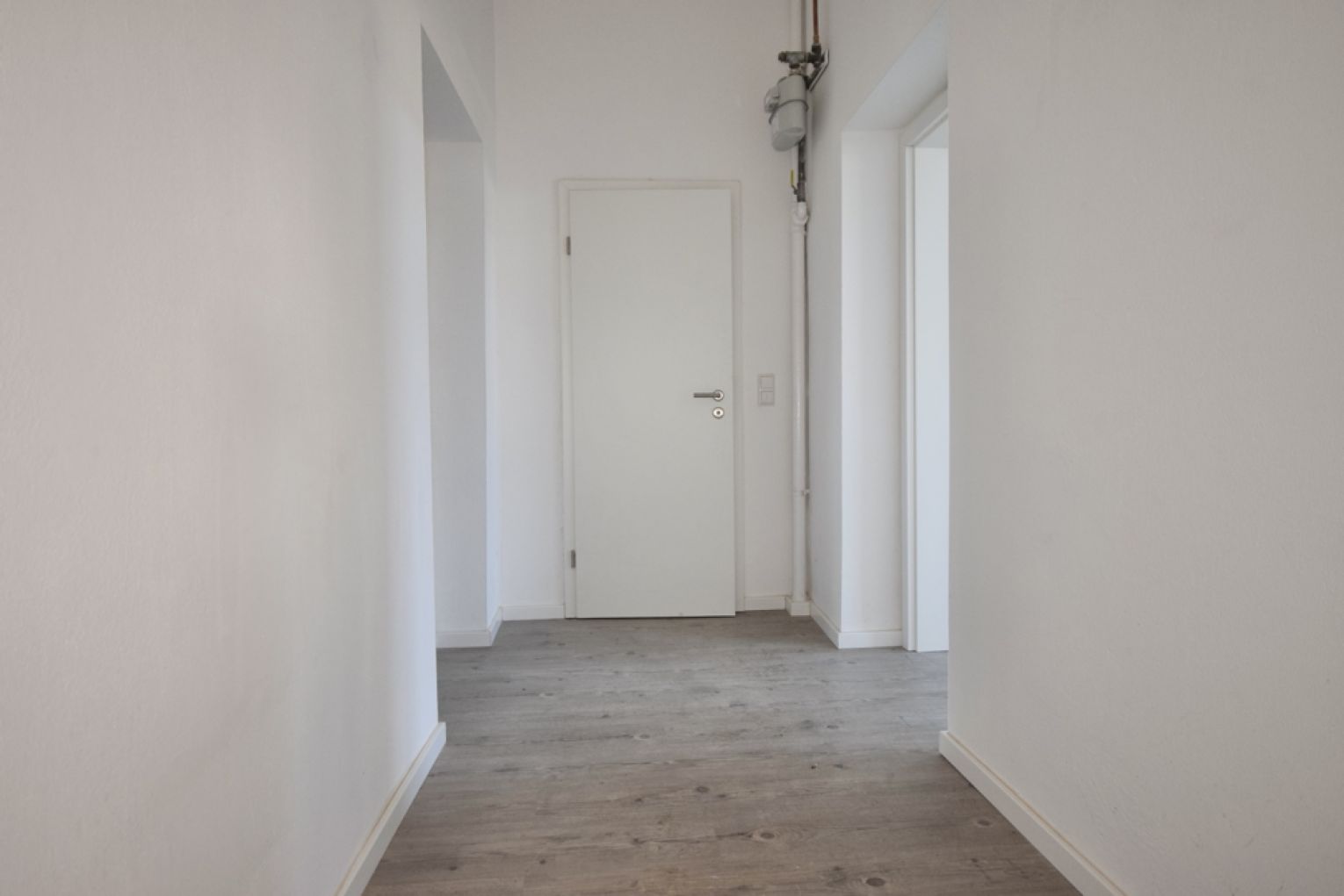 2-Zimmer • Chemnitz Zentrum • neues Laminat • Bad mit Dusche • Uni-Nähe • EBK • neu renoviert