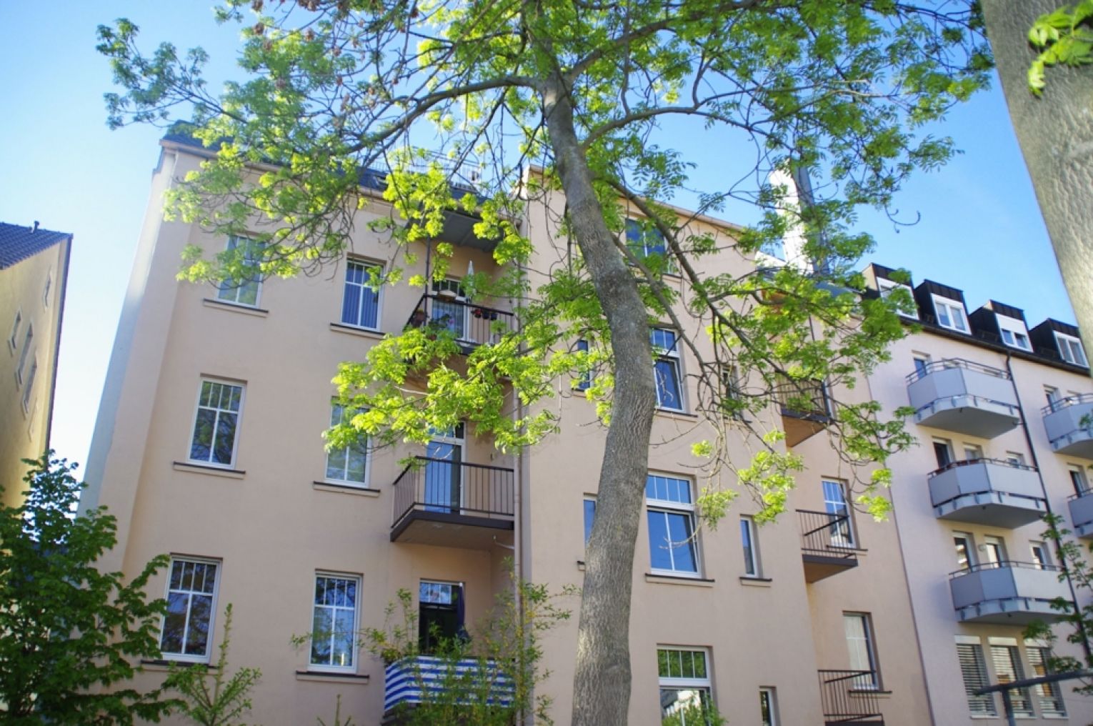 Südbalkon • Einbauküche • Laminat • bad mit Wanne und Fenster • 2-Raum Wohnung in Chemnitz • Mieten!