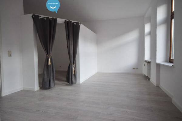 2-Raum Appartment • Einbauküche • Laminat • Bad mit Dusche • frisch renoviert • tolles Wohn-Konzept