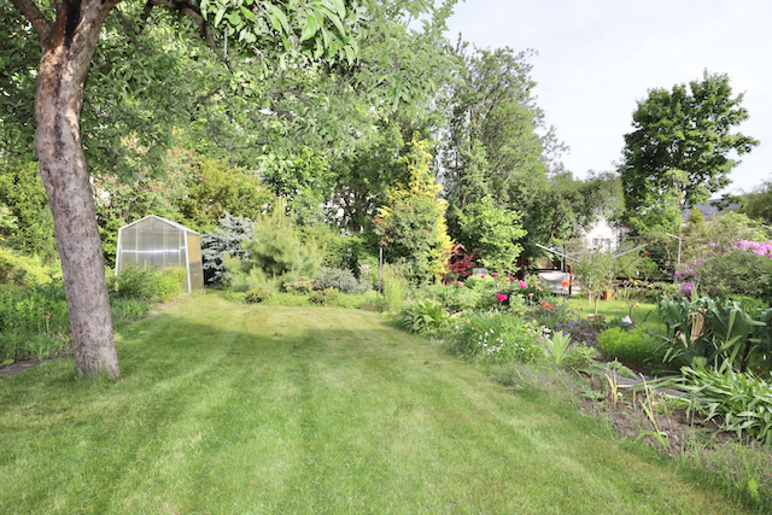 Bernsdorf • Garten • Terrasse • in Chemnitz • Haus • zur Miete • Garage • schnell sein und anrufen !