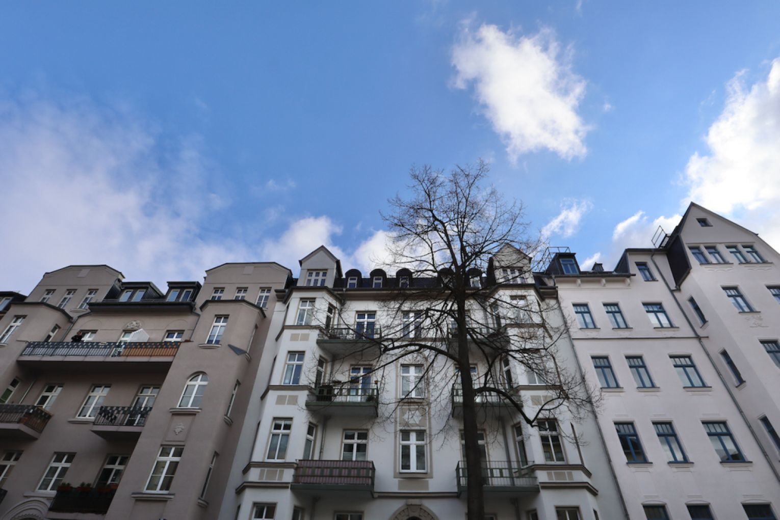 1 Zimmer • Wohnung • zur Miete • mit Balkon • Küche • Aufzug • auf dem Kaßberg • in Chemnitz