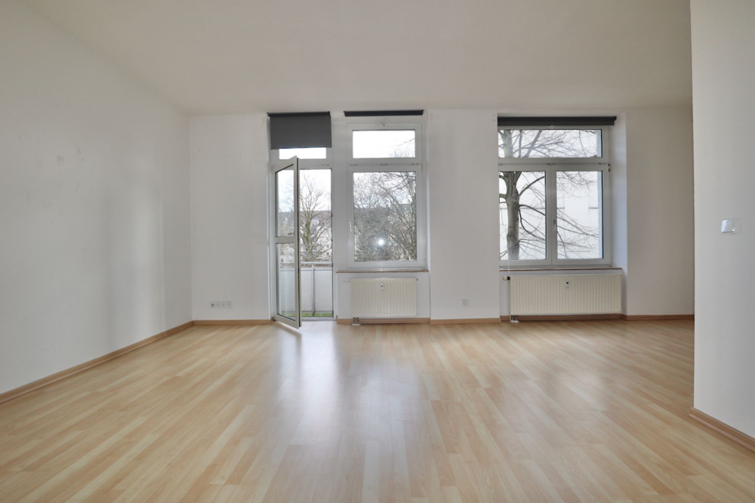 1 Zimmer • Wohnung • zur Miete • mit Balkon • Küche • Aufzug • auf dem Kaßberg • in Chemnitz