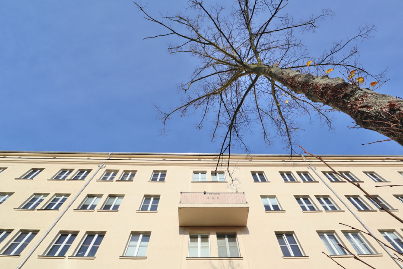 Kaßberg • Stellplatz • 2-Zimmer -Wohnung • Terrasse • Balkon • Eckbadewanne • Dusche •  jetzt mieten