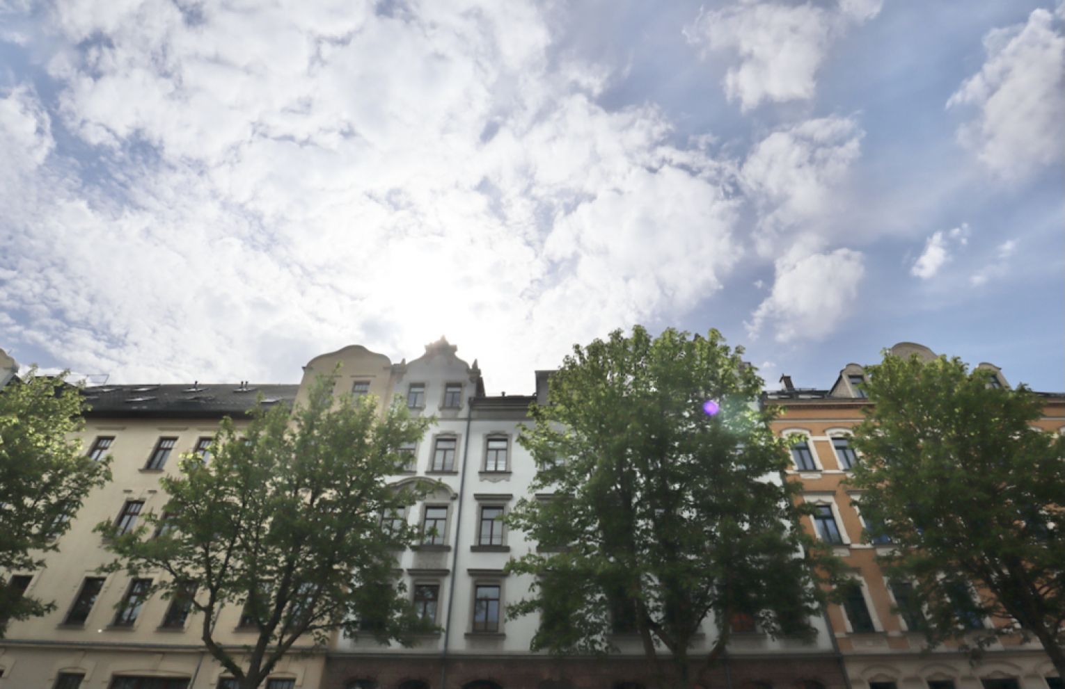 2 Zimmer • NEUES Laminat • Balkon  • Einbauküche • Hilbersdorf • zentral aber ruhig • jetzt mieten