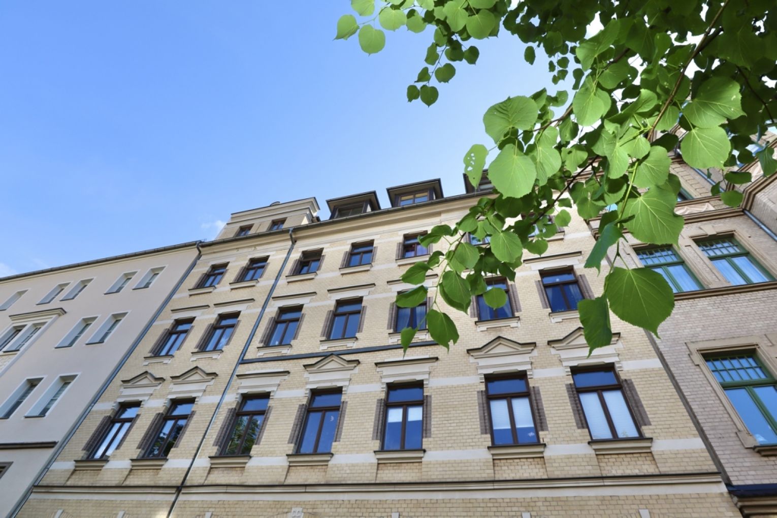 Kaßberg • Chemnitz • zur Miete • 2 Zimmer • Einbauküche • Balkon • Tageslichtbad • jetzt anrufen